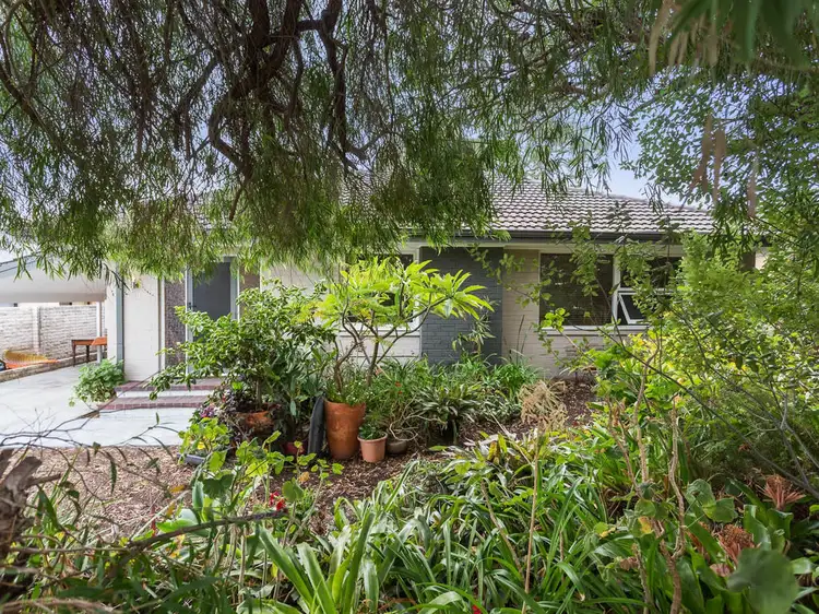 Main view of Homely house listing, 16 Blair Street, Karrinyup WA 6018
