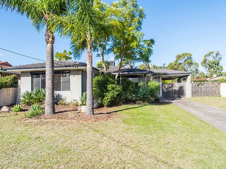 Main view of Homely house listing, 16 Paul Way, Orelia WA 6167