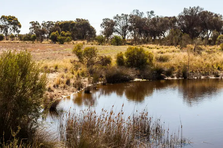 Fifth view of Homely rural property listing, 1140 Ranford Road, Katanning WA 6317