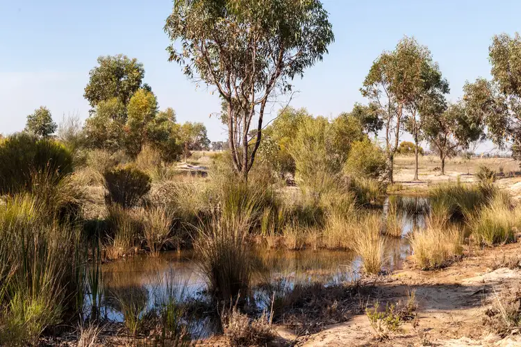 Seventh view of Homely rural property listing, 1140 Ranford Road, Katanning WA 6317