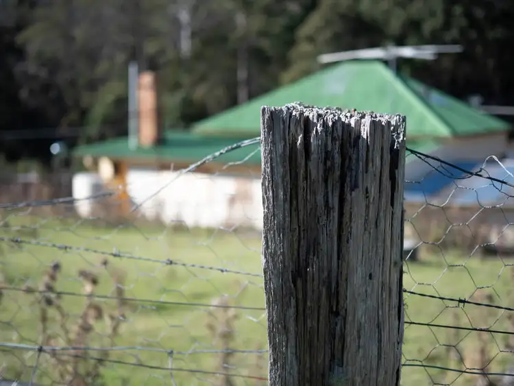 Seventh view of Homely house listing, 254 Collins Cap Road, Collinsvale TAS 7012