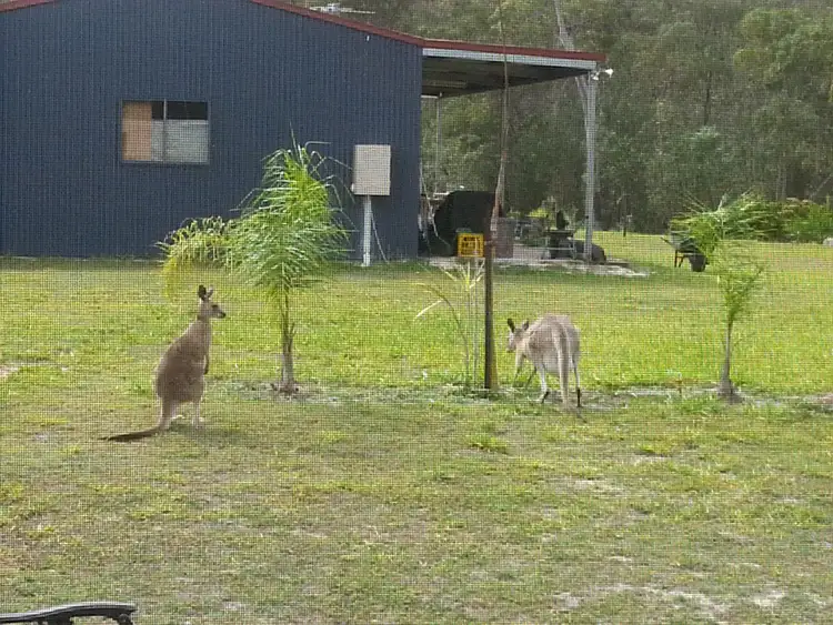 62 Mitchell, Mount Maria QLD 4674