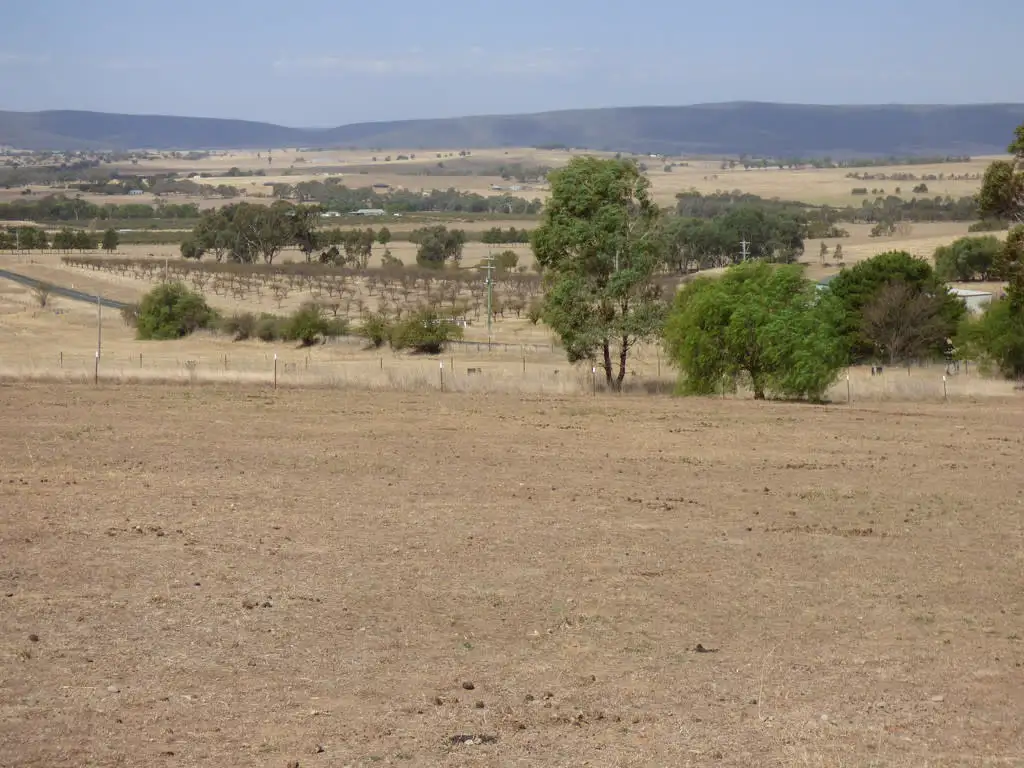 Main view of Homely land listing, 164 Smiths Road, Wirrimah NSW 2803