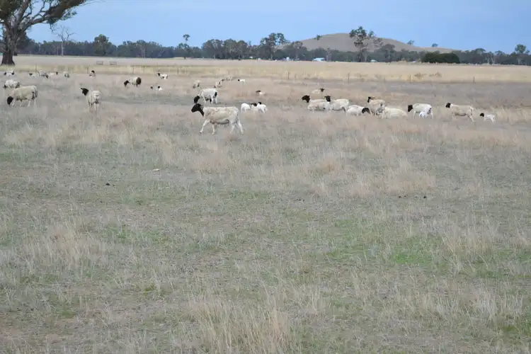 Fourth view of Homely rural property listing, 0 Neild Lane, Pomonal VIC 3381