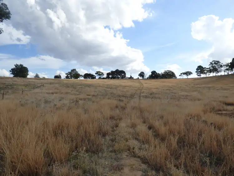 Seventh view of Homely land listing, 168 Henry Lawson Way, Young NSW 2594