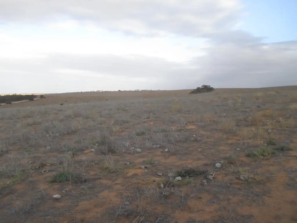 Main view of Homely rural property listing, Lot 137 Hundred Line Road, Copeville SA 5308