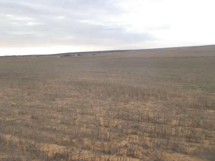 Fourth view of Homely rural property listing, Lot 137 Hundred Line Road, Copeville SA 5308