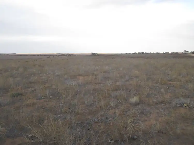 Fifth view of Homely rural property listing, Lot 137 Hundred Line Road, Copeville SA 5308