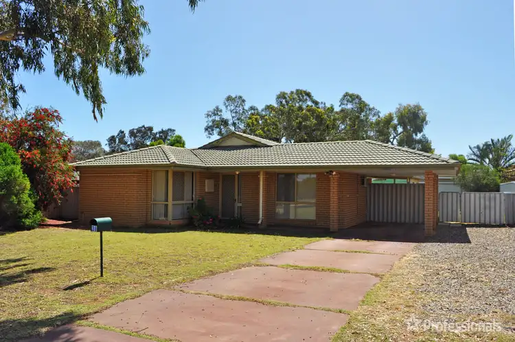 38 Pinyali Way, Waggrakine WA 6530
