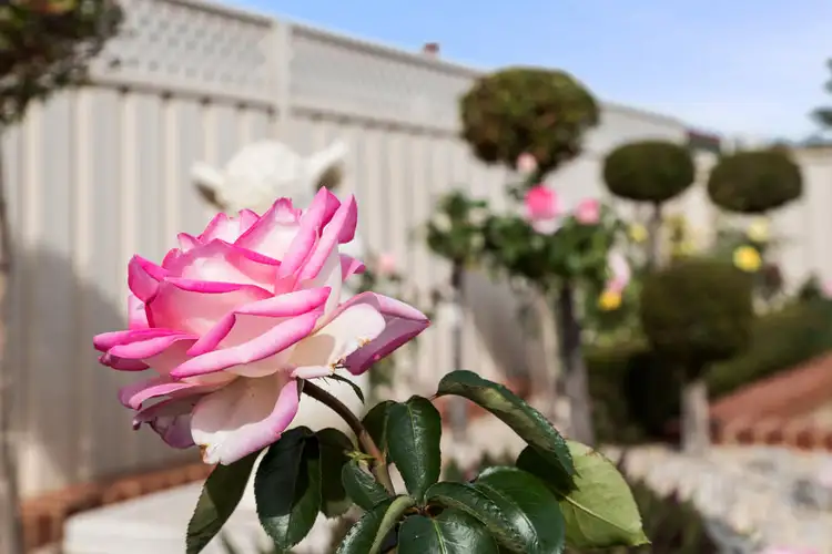 Seventh view of Homely house listing, 30 Glen Ross Chase, Jane Brook WA 6056