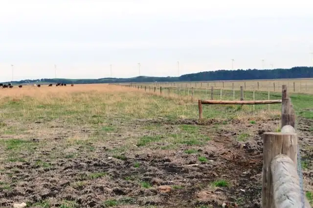 Fifth view of Homely rural property listing, 187 Kiely Road, Tantanoola SA 5280