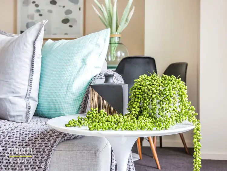 Third view of Homely apartment listing, 505/100 Kavanagh Street, Southbank VIC 3006