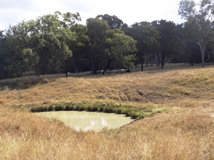 Fifth view of Homely rural property listing, 499 Scotts Lane, Nanango QLD 4615