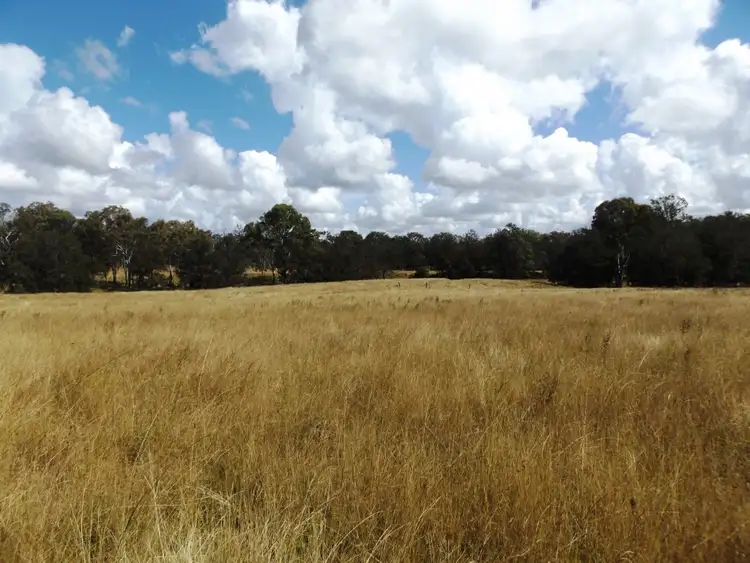 Seventh view of Homely rural property listing, 499 Scotts Lane, Nanango QLD 4615
