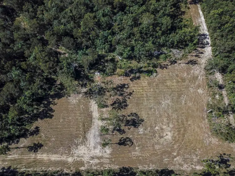 Second view of Homely rural property listing, 4873 Orara Way, Braunstone NSW 2460