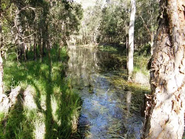 Third view of Homely rural property listing, 4873 Orara Way, Braunstone NSW 2460