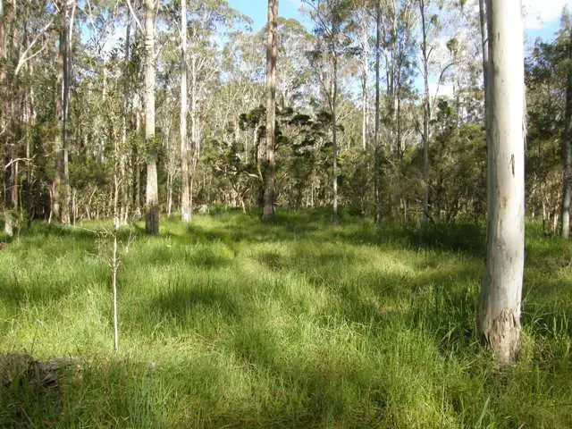Fifth view of Homely rural property listing, 4873 Orara Way, Braunstone NSW 2460