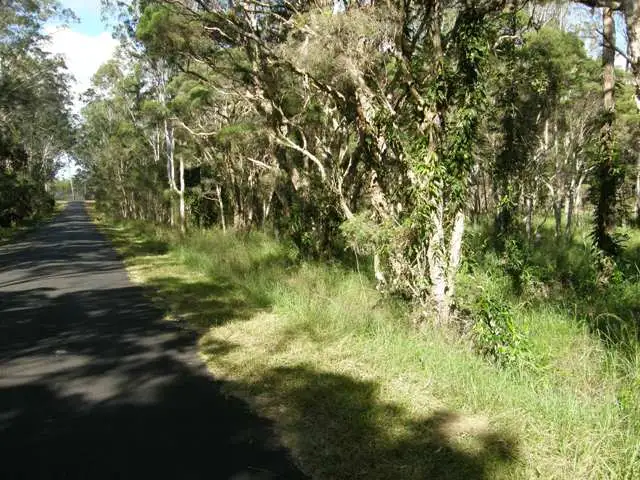 Seventh view of Homely rural property listing, 4873 Orara Way, Braunstone NSW 2460
