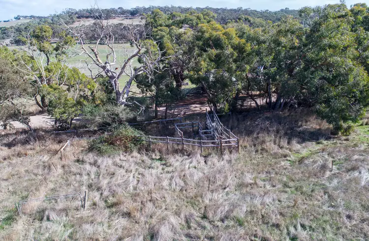 Third view of Homely rural property listing, A64 Shadygrove Road, Paris Creek SA 5201