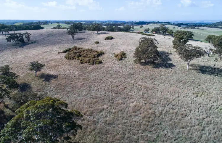 Fifth view of Homely rural property listing, A64 Shadygrove Road, Paris Creek SA 5201