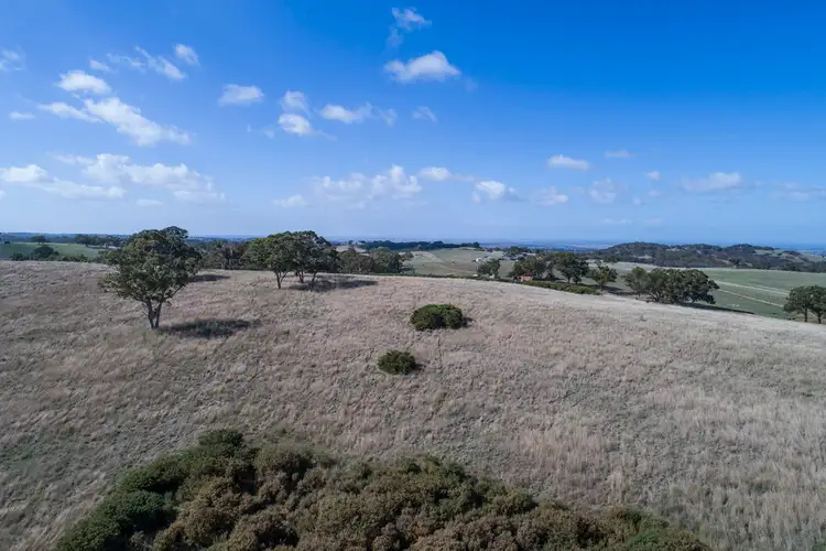 Sixth view of Homely rural property listing, A64 Shadygrove Road, Paris Creek SA 5201