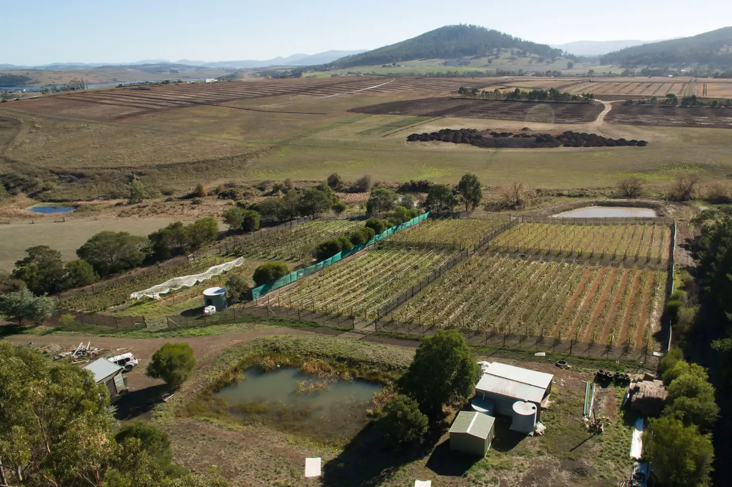 Main view of Homely land listing, 4 Riverdown Court, Forcett TAS 7173