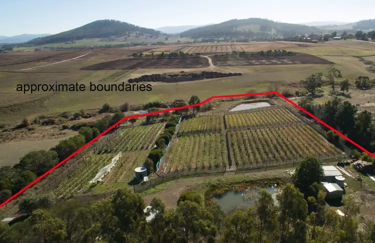 Third view of Homely land listing, 4 Riverdown Court, Forcett TAS 7173