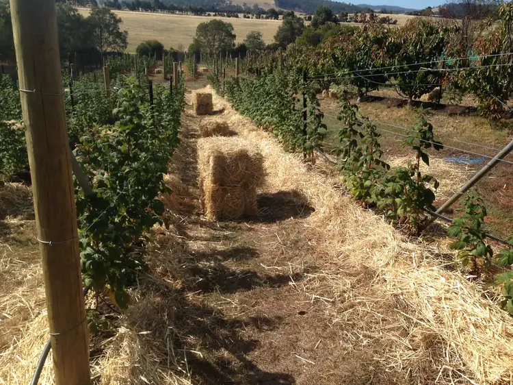 Fourth view of Homely land listing, 4 Riverdown Court, Forcett TAS 7173