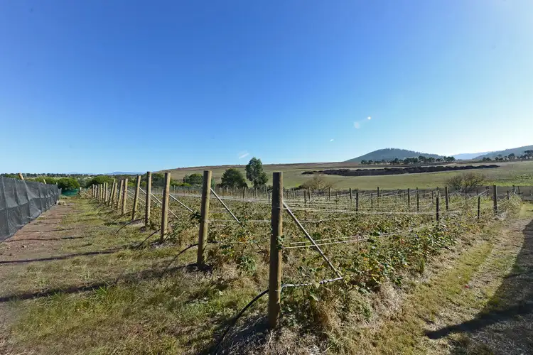 Fifth view of Homely land listing, 4 Riverdown Court, Forcett TAS 7173
