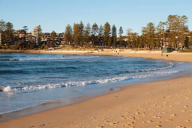 Fifth view of Homely unit listing, 6/20 Lismore Avenue, Dee Why NSW 2099