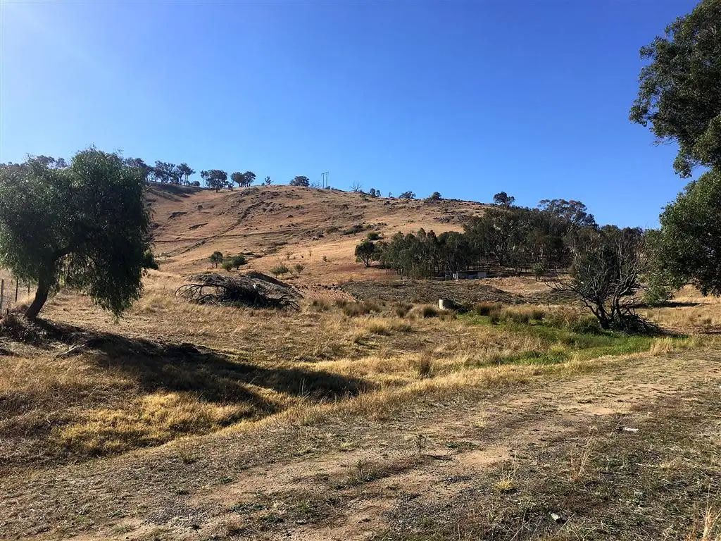 Main view of Homely land listing, 100 Snowy Mountains Highway, Adelong NSW 2729