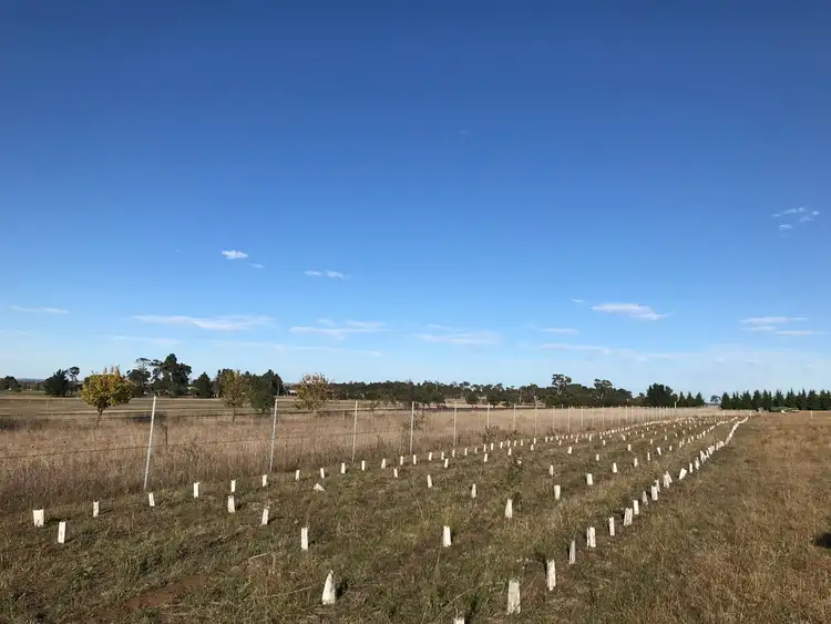 Second view of Homely rural property listing, 37 Post Way, Armidale NSW 2350