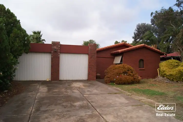 Main view of Homely house listing, 15 Theodore Street, Evanston Park SA 5116