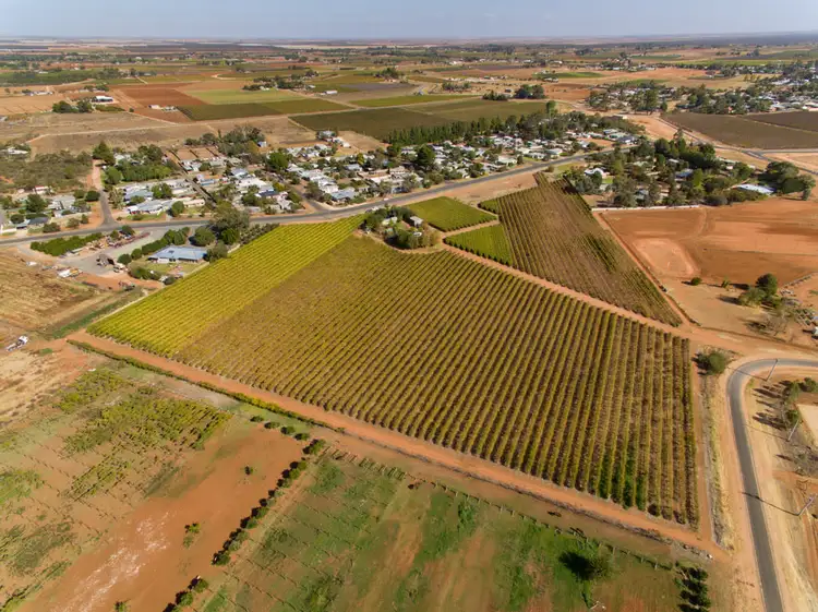 Second view of Homely rural property listing, 36 Nursery Ridge Road, Red Cliffs VIC 3496