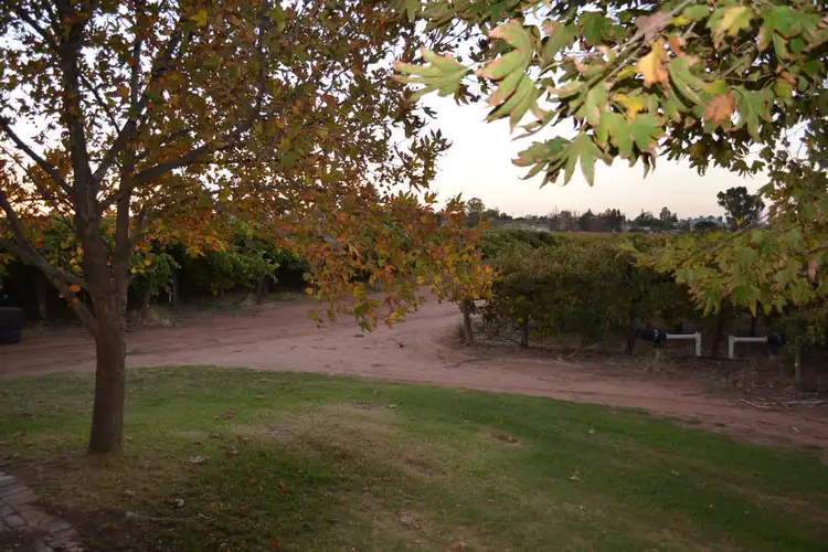 Third view of Homely rural property listing, 36 Nursery Ridge Road, Red Cliffs VIC 3496