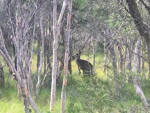 Sixth view of Homely land listing, Address available on request