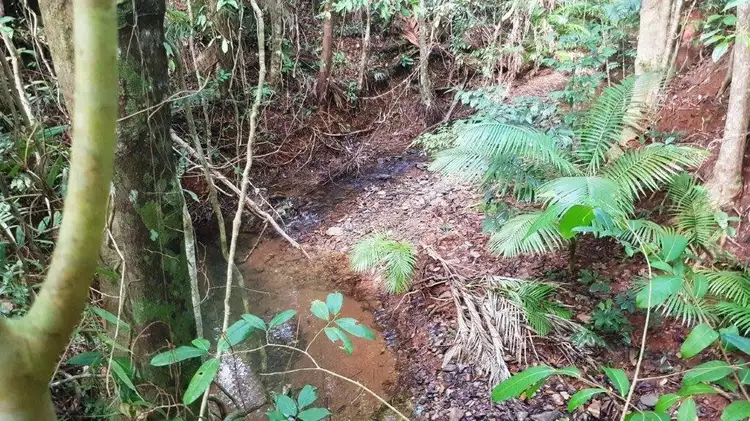 Second view of Homely land listing, 26 Buchanan Creek Road, Daintree QLD 4873