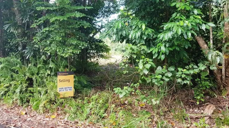 Third view of Homely land listing, 26 Buchanan Creek Road, Daintree QLD 4873