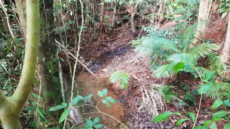 Fourth view of Homely land listing, 26 Buchanan Creek Road, Daintree QLD 4873