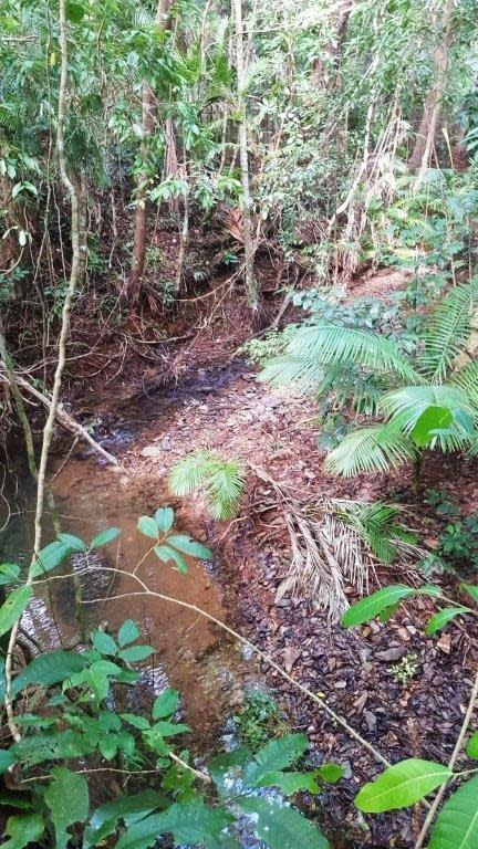Fifth view of Homely land listing, 26 Buchanan Creek Road, Daintree QLD 4873