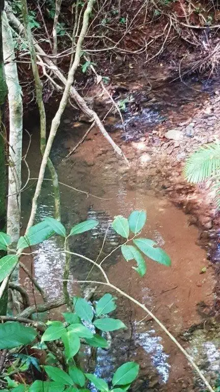 Sixth view of Homely land listing, 26 Buchanan Creek Road, Daintree QLD 4873