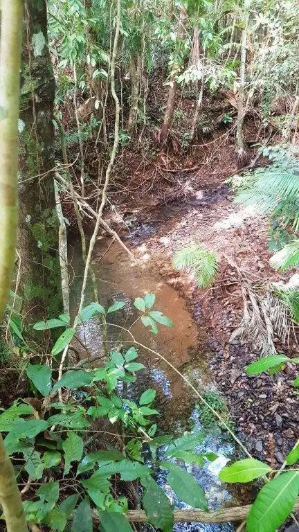 Seventh view of Homely land listing, 26 Buchanan Creek Road, Daintree QLD 4873
