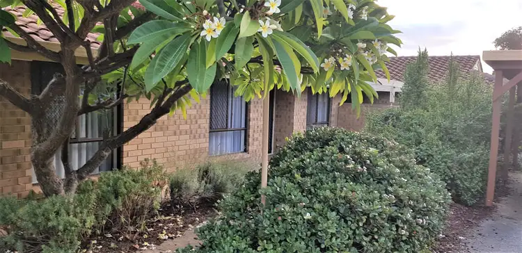 Second view of Homely unit listing, 6 / 27 Hart Street, Campbelltown SA 5074