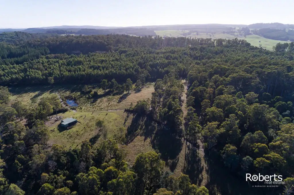 Main view of Homely rural property listing, 300 Gundagai Road, Bangor TAS 7267