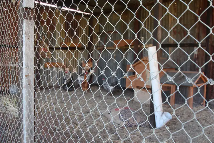 Seventh view of Homely land listing, Lot 51 Government Road, Renmark SA 5341