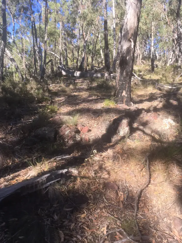 Lot 84 Reedy Creek Road, Eurobodalla NSW 2545