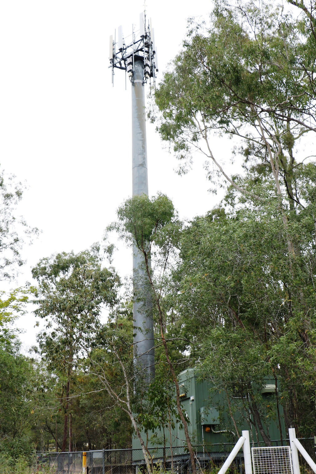 86 Abell Road, Jimboomba QLD 4280