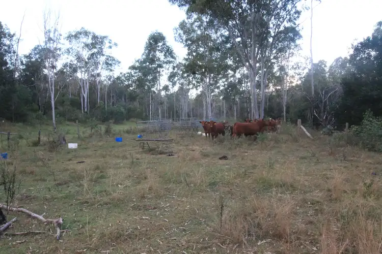 Seventh view of Homely rural property listing, 249 Stronachs Road, Wallaville QLD 4671