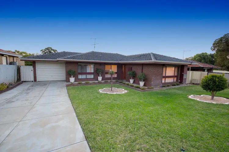 Main view of Homely house listing, 8 Scales Way Spearwood, Spearwood WA 6163