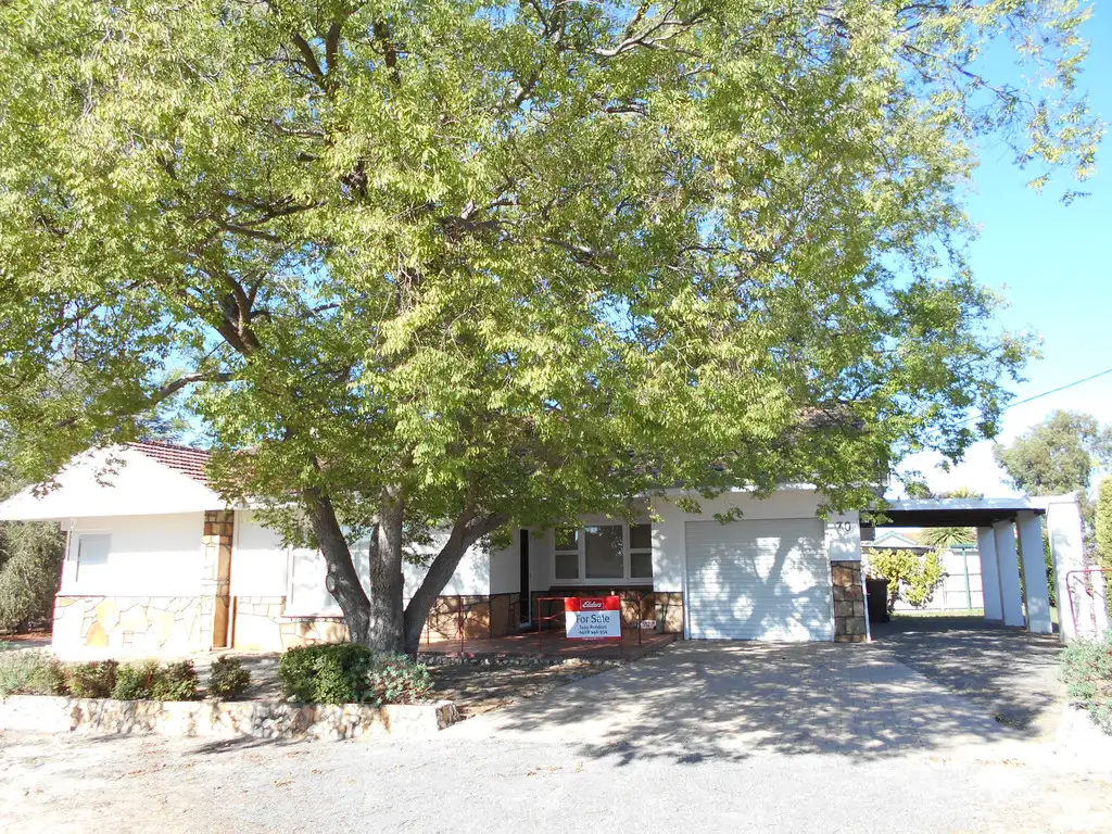 Main view of Homely house listing, 70 Blantyre Street, Katanning WA 6317